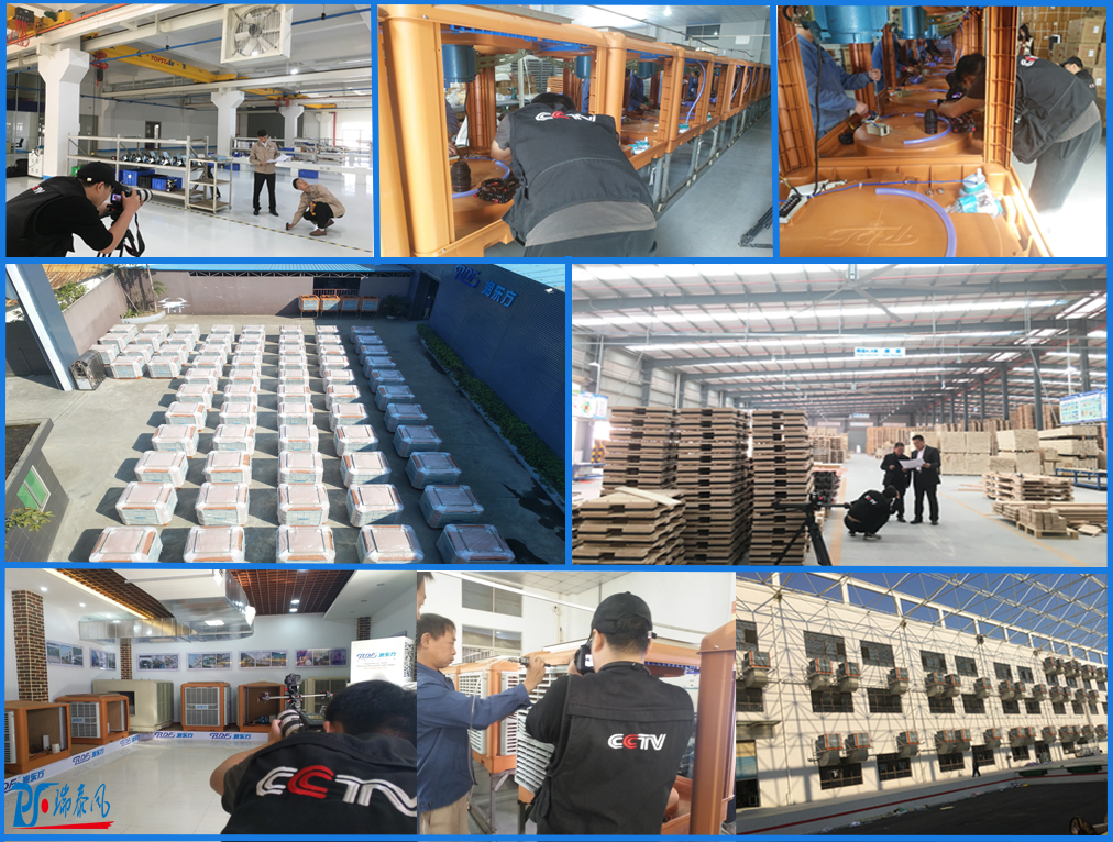 廣東瑞泰客戶現場拍攝花絮