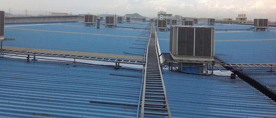 東莞環?？照{