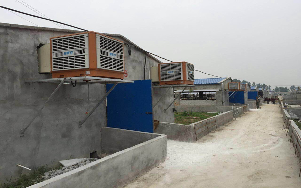 天益養豬場通風降溫工程安裝案例